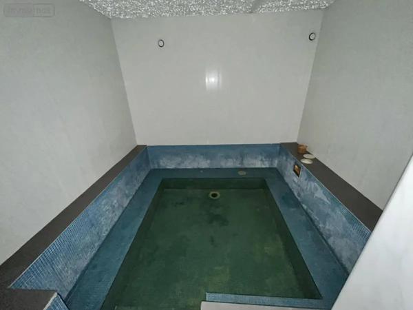 Achat - Immeuble Ingrandes-le-Fresne-sur-Loire 49123 314 m 2 513 m 2