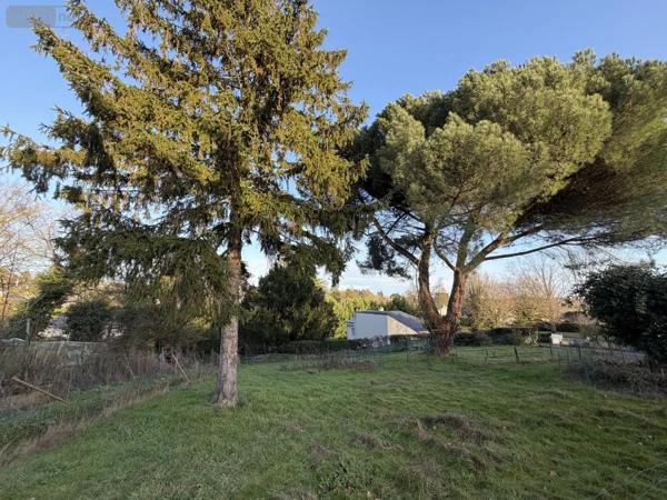 Achat - Maison Cholet 49300 6 pièces 123 m 2 3984 m 2