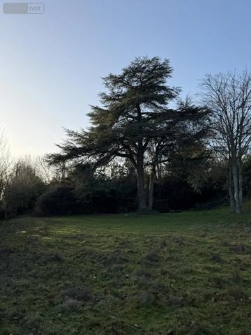 Achat - Maison Cholet 49300 6 pièces 123 m 2 3984 m 2