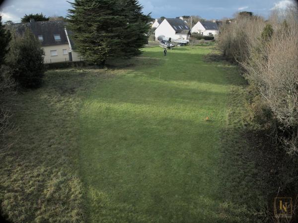 Terrain