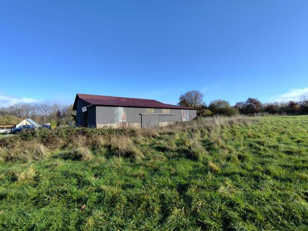 Local Commercial - 440 m²