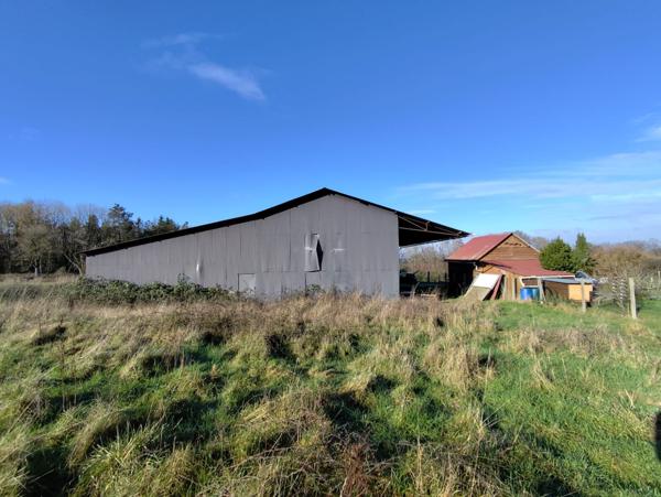 Local Commercial - 440 m²