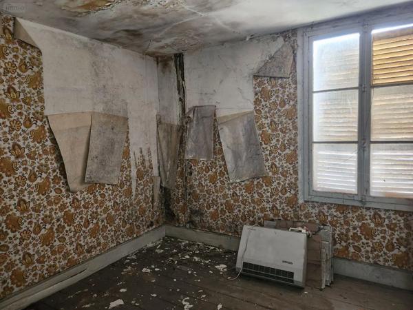 Achat - Immeuble | Local mixte (Pro/Hab) Bar-sur-Aube 10200 10 pièces 530 m 2 514 m 2