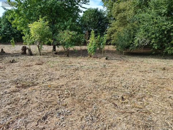 Achat - Terrain à bâtir Touffreville-la-Corbeline 76190 1409 m 2