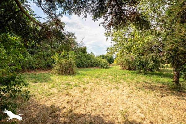 Maison 169 087 € Mirambeau 6 p 134 m² DPE E