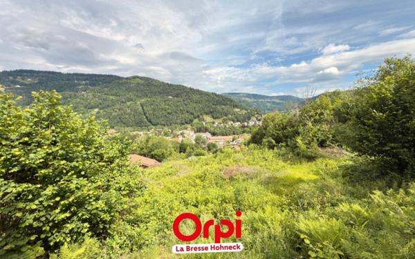 Terrain à vendre