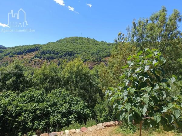 Vente Maison de village 121 m2 à Banassac-Canilhac