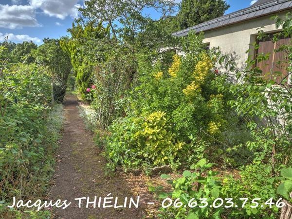 MAISON DE VILLE À FORT POTENTIEL AVEC JARDIN, DÉPENDANCES ET LOGEMENT ANNEXE