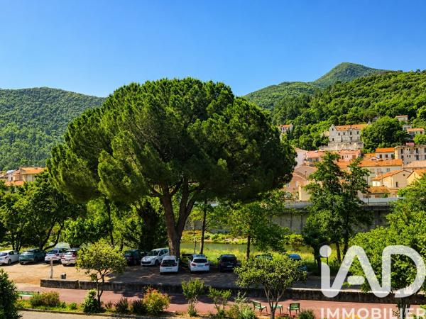 Appartement à vendre 3 pièces 60,5 m² Amélie-les-Bains-Palalda