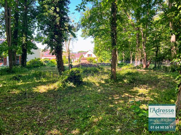 Maison avec fort potentiel 4 chambres possible 5 - 2337m² de terrain divisible + sous sol total