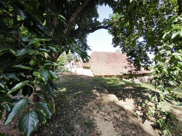 Propriete de 200 m²