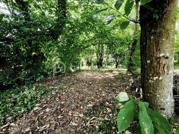 Propriete de 200 m²