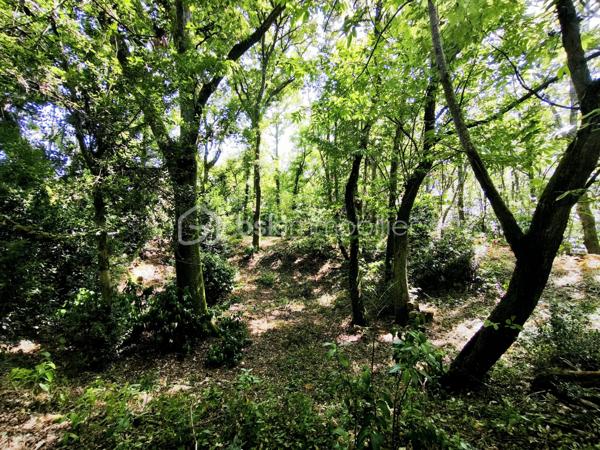 Propriete de 200 m²