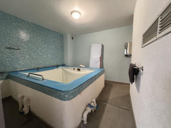 DEUX APPARTEMENT (T3 de 68 m² et T4 de 82m²) / JARDIN 100 m²