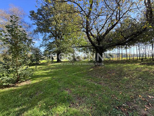 Charmante maison en pierre à rénover à vendre à MOREAC avec un terrain d'env 6230 m²