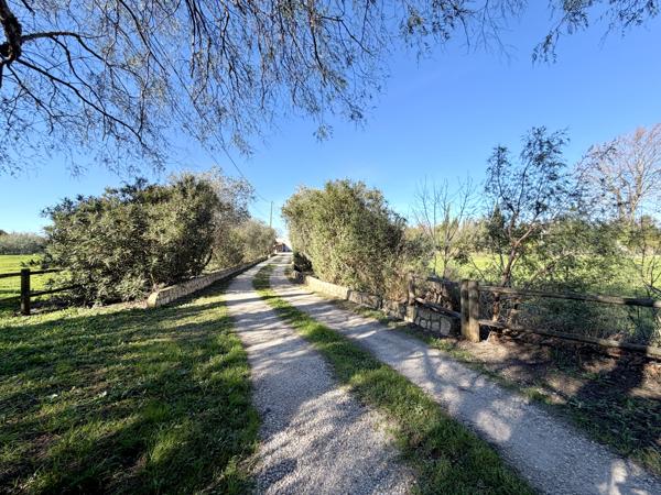 Maison à vendre à Saint-Estève (66240) - Pyrénées-Orientales