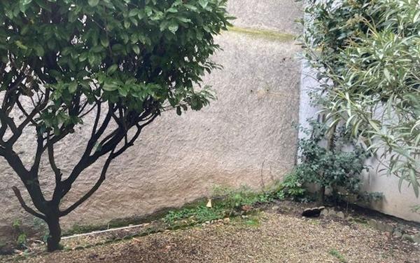 Maison à vendre    6 pièces • 96 m2 Tours