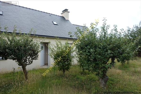 Maison individuelle à vendre à Plozévet dans le Finistère (29710), ref : 29021-1087615