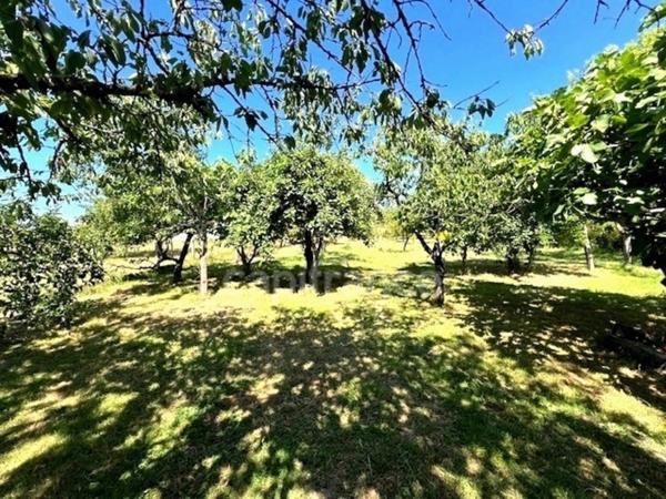 Maison à vendre 8 pièces SAINTES (17)