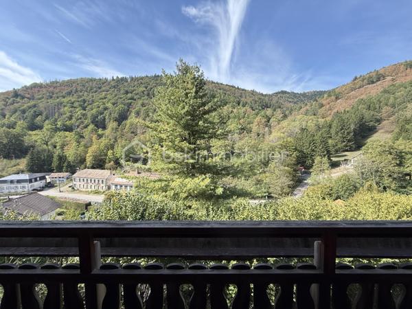 🏡 CHALET ATYPIQUE – CALME ABSOLU, VUE DÉGAGÉE ET PLEINE NATURE

Envoyez-moi un SMS ou un WhatsApp, je vous fais suivre les photos et la vidéo.
Chalets libre de suite.

Amoureux de nature, de calme et de lieux qui ont une vraie personnalité, ce chalet au design original et chaleureux saura vous séduire par son environnement privilégié et ses nombreuses possibilités.

Implanté sur un beau terrain de 1 219 m², il bénéficie d’un cadre paisible, en pleine nature, avec une vue dégagée et une atmosphère particulièrement reposante.

Ce chalet a été construit par un artisan passionné, spécialisé dans le travail du bois sous toutes ses formes. Son savoir-faire se retrouve dans chaque détail de la maison, notamment à travers les différents revêtements et aménagements en bois : sols en bois, parquet soigneusement travaillé, éléments en bois et finitions originales déclinés dans plusieurs styles. L’ensemble confère au chalet une atmosphère chaleureuse, authentique et véritablement unique.

Réparti sur plusieurs niveaux, le chalet offre une belle capacité d’accueil :

Au rez-de-chaussée :

• Hall d’entrée
• Garage
• Cave
• Chaufferie avec chauffage au fioul

À l’étage :

• Séjour cathédrale agréable et lumineux avec cheminée
• Cuisine entièrement équipée avec coin repas et accès à la terrasse
• Une chambre
• Salle de bains
• WC

Au deuxième niveau :

• Mezzanine
• Trois chambres
• WC

Avec ses quatre chambres, sa mezzanine et ses différents espaces de vie, cette propriété peut parfaitement convenir aussi bien à une habitation principale qu’à une résidence secondaire.

Son environnement naturel et son potentiel en font également une belle opportunité pour un projet de gîte ou de location saisonnière, ou encore pour les amateurs de chasse, de randonnée et de séjours au calme.

Un chalet atypique, convivial et plein de charme, offrant à la fois le confort nécessaire au quotidien et un cadre exceptionnel pour profiter de la nature. Chaque espace témoigne du travail artisanal du bois et donne à cette propriété une identité rare et chaleureuse.

👉 Un bien unique pour ceux qui recherchent avant tout le calme, l’espace, l’authenticité et un environnement préservé. À découvrir sans tarder !