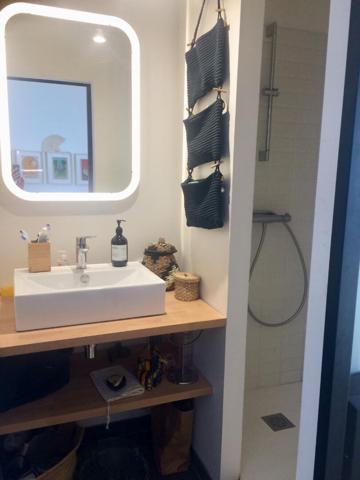 Nantes Bord de l'Erdre T4 Duplex 70 m2 avec terrasse en bois de 40 m²,  
Nantes 44000