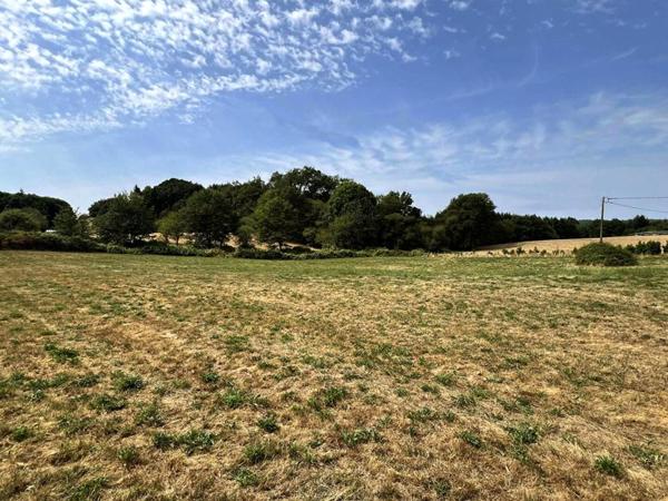 Terrain La Coquille 6755 m2