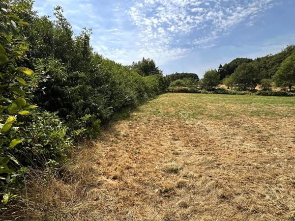 Terrain La Coquille 6755 m2