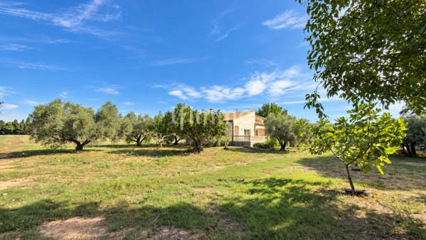 Villa T5 de 159 m2 sur 30 000 m2 de terrain - Elne