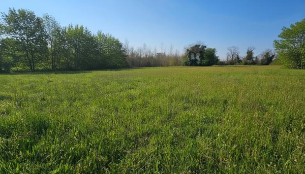 LAFOX 47240 Terrain constructible 982 m2