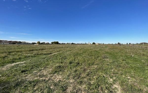 Vente Terrain Marsillargues   