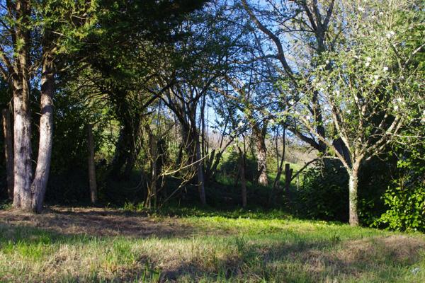 Charlieu (42190) Fermette 90 m² sans travaux