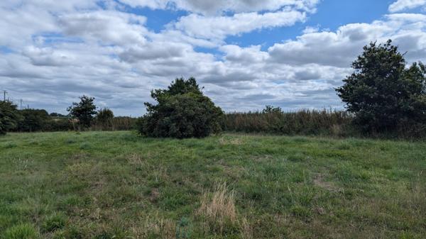 Maison familiale des années 70 sur 4 500 m² de terrain  Proche Pontivy