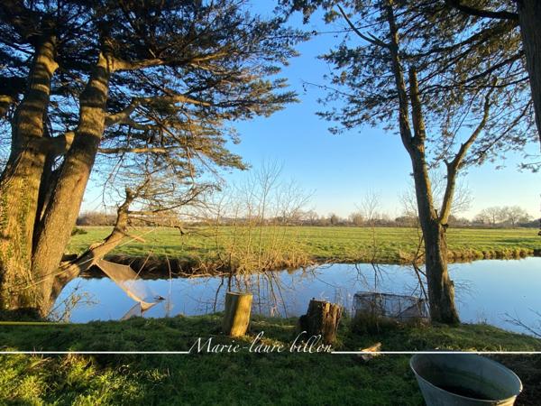 Longère et sa grange à vendre, proche de CHALLANS (85), longère avec 2 grandes chambres + grange 4 chambres, parcelle de 8 ha