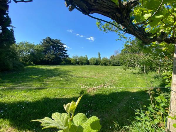 Longère et sa grange à vendre, proche de CHALLANS (85), longère avec 2 grandes chambres + grange 4 chambres, parcelle de 8 ha