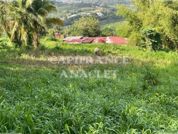 Dpt Martinique (972), à vendre LE LAMENTIN terrain de 1187 m² vue mer