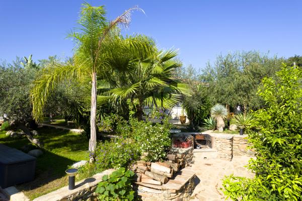 Venzolasca – superbe villa 5 chambres avec piscine, jardin et studio indépendant