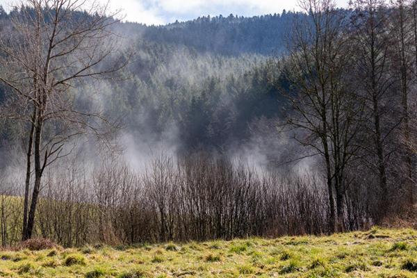 belle parcelle de terrain avec vue dégagée