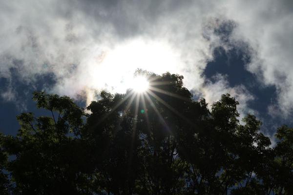 belle parcelle de terrain avec vue dégagée