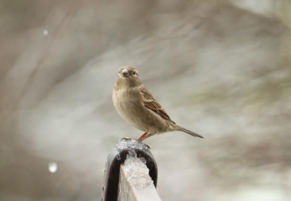 belle parcelle de terrain avec vue dégagée