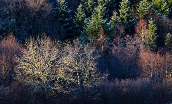 belle parcelle de terrain avec vue dégagée