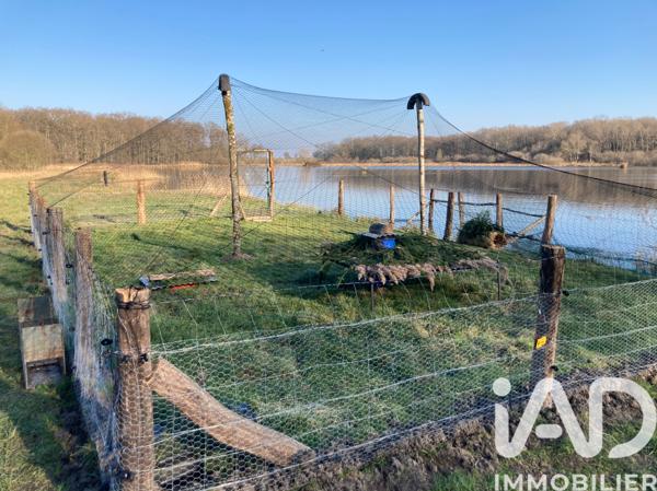 Terrain à vendre 200 000 m² Piney