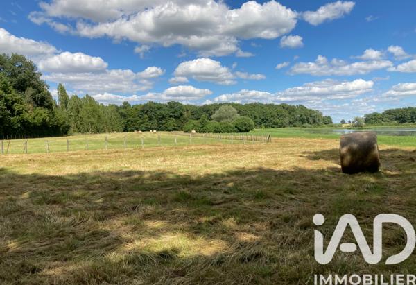 Terrain à vendre 200 000 m² Piney