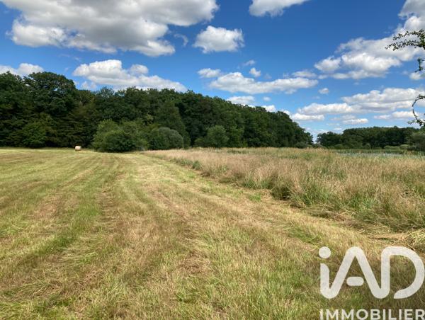Terrain à vendre 200 000 m² Piney