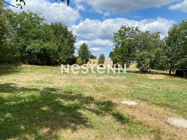 Maison à vendre à Champs Romain avec gîte