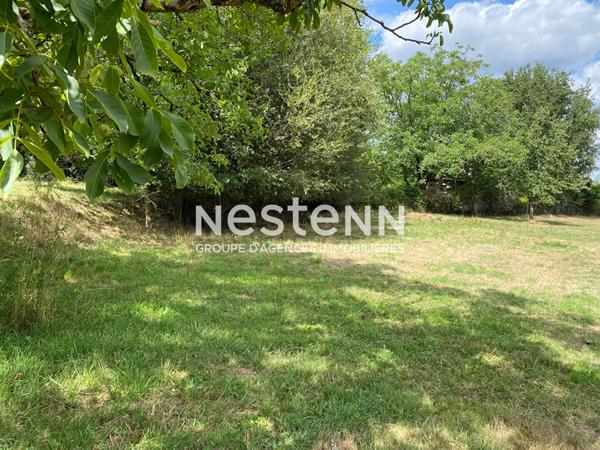 Maison à vendre à Champs Romain avec gîte