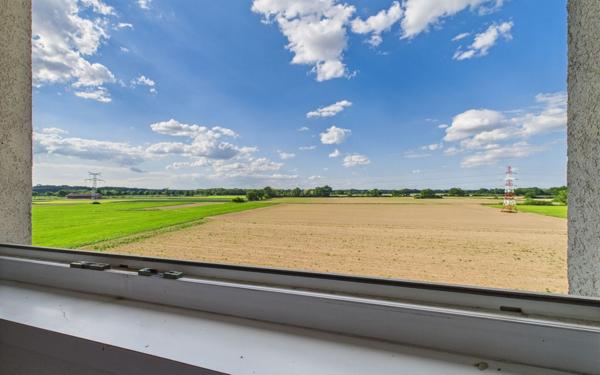 Appartement à vendre    5 pièces • 111 m2 Holtzheim