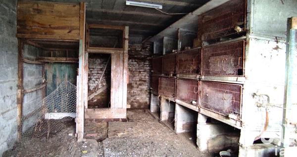 Maison 7 pièces de 110 m² à Sainte-Adresse (76310)