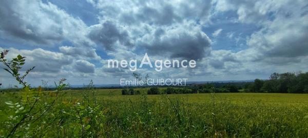 Maison à LASBORDES, 11400 - 6 pièces 246m²