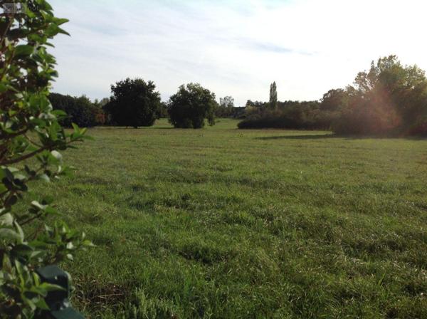 Terrain à Batir à vendre à Bélâbre dans l'Indre (36370), ref : 037/2244