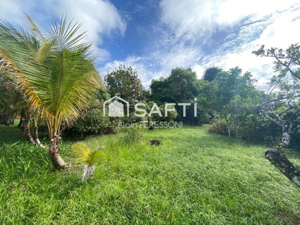 Grande Villa T4 de 136m2 dans parc boisé de 4000m2 Matoury